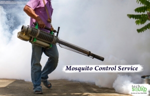 TechSquadTeam imparts mosquito control in Bangalore 